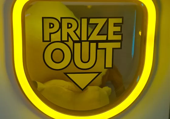 1. Insert Coins/Scan QR Code to Start: Insert game coins or scan the QR code to start the machine and begin operation.