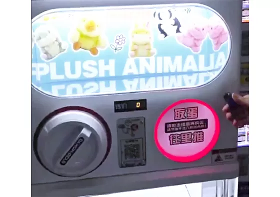 Step 2: After payment, the customer turns the handle or knob.