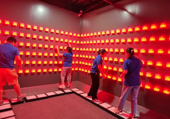 2. Stand on the narrow wooden step and move from one side of the room to the other by navigating the wall.