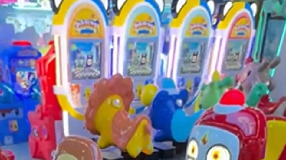 animal kingdom little lion kids rid one stop solution