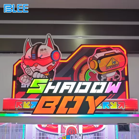 chasing shadows price