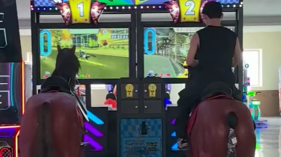 Coin Operated Double-player Immersive Simulation Experience of Royal Horse Racing Game Machine One Stop Solution