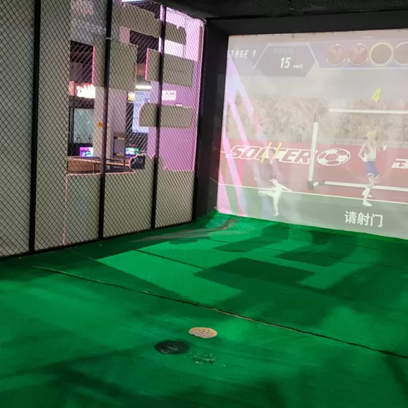 Product Details of Football Simulator