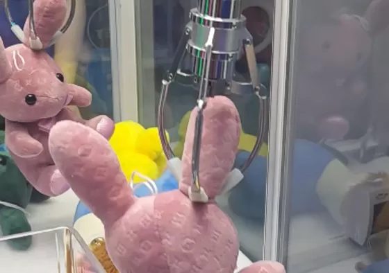 3. Press the Confirm Button to Grab: Press the Confirm Button, and the claw will automatically descend to grab the prize. Successfully grabbing the prize will earn you a reward.