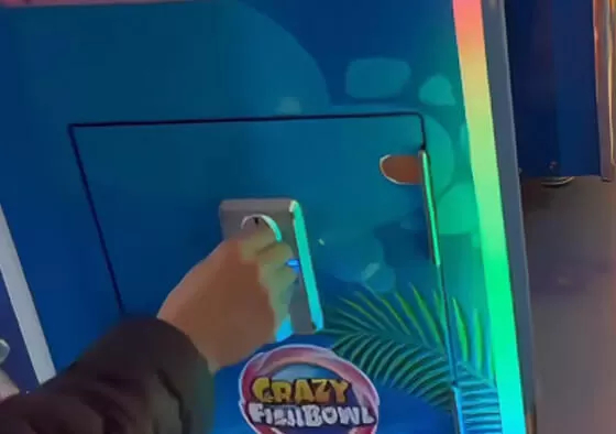 1. Goldfish Catching Challenge: Tap swimming fish within a time limit; number caught determines base ticket amount.