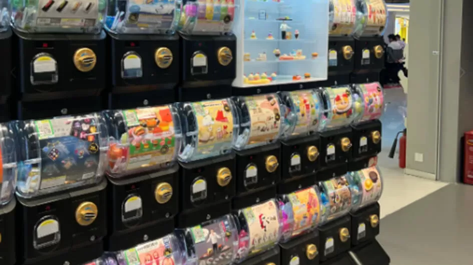 Naughty Tiger - Gashapon Machine Paper Currency Version One Stop Solution