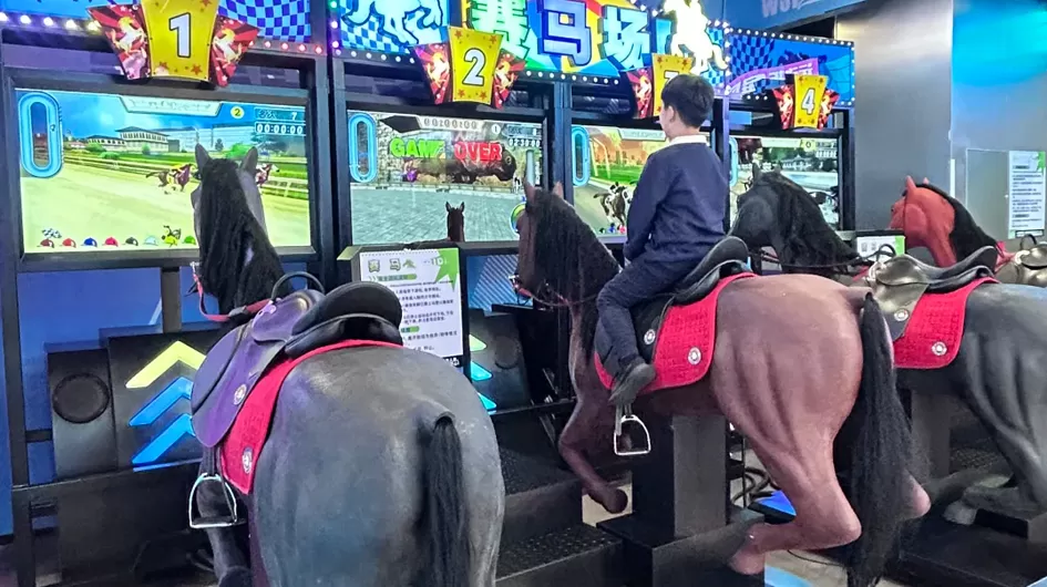 Horse Simulator Customer Case