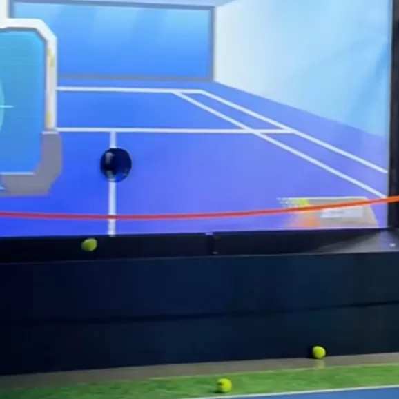 Product Details of Tennis Simulator