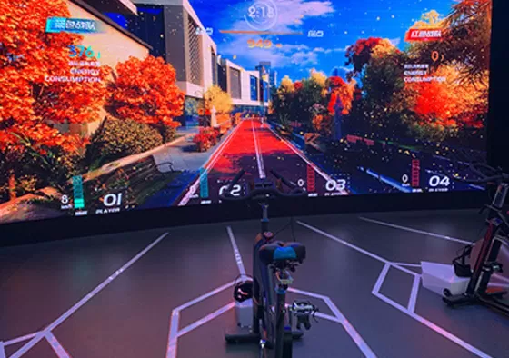 4. Training Programs: Coaching, ERG, interval & HR-driven workouts with data feedback.