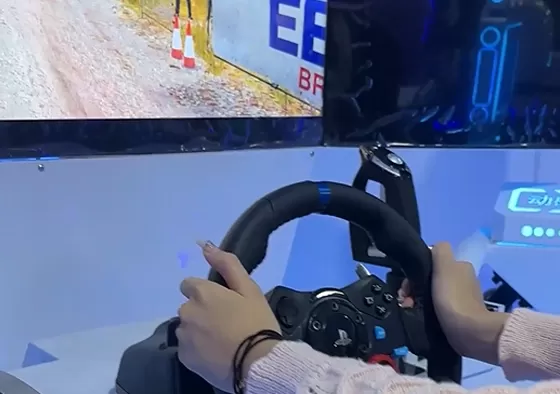 3. Control your car using the steering wheel and pedals.